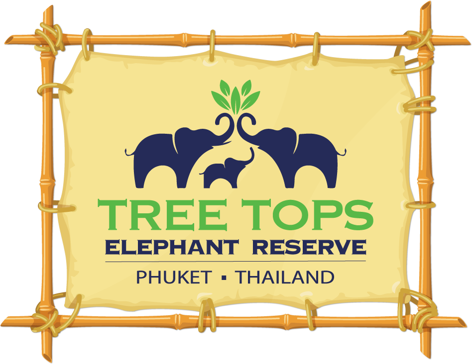 treetops
